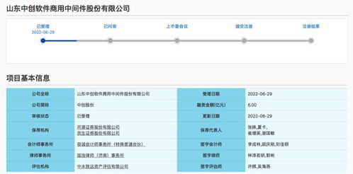 濟(jì)南魯企喜獲科創(chuàng)板受理 2022年上半年基礎(chǔ)軟件服務(wù)領(lǐng)域迎來(lái)新突破